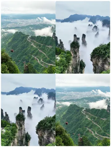 장자제는 정말 좋지만, 다시는 가지 않을 거예요