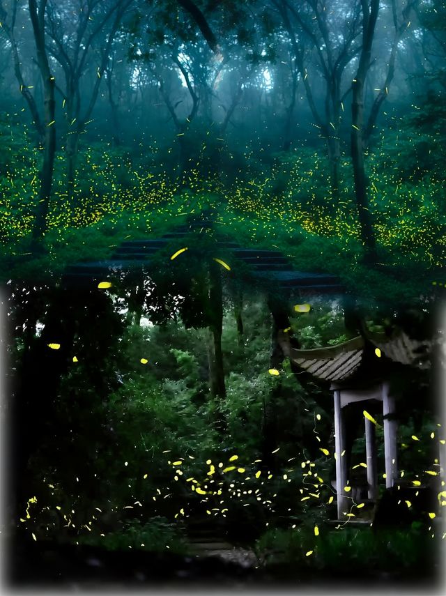 雨夜螢火蟲浪漫之都