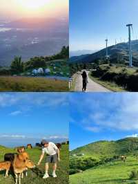廣東「小阿勒泰」3小時直達高山草甸，雲浮新興風車山睇雲海！