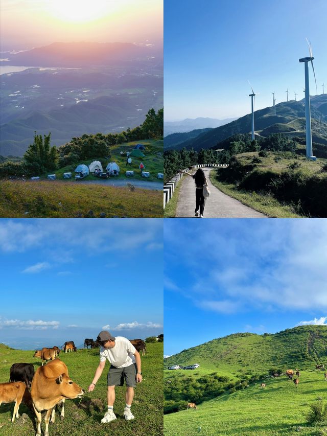 廣東「小阿勒泰」3小時直達高山草甸，雲浮新興風車山睇雲海！