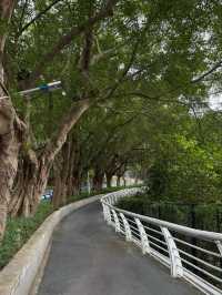 深圳鹽田棧道