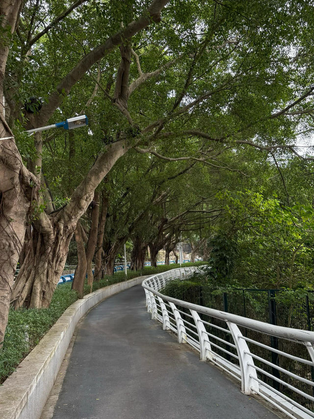 深圳鹽田棧道