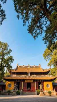 泛舟御河，尋一曲汴京遺夢