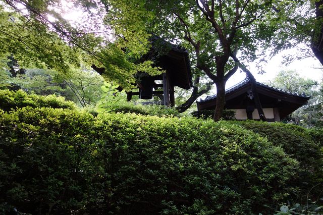 東京櫻花飯店|春天的完美住處
