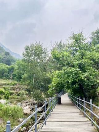 山谷遺韻，車谷坨村的慢時光