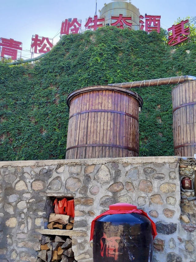 林海酒香——塞罕壩生態酒莊的北方醇味