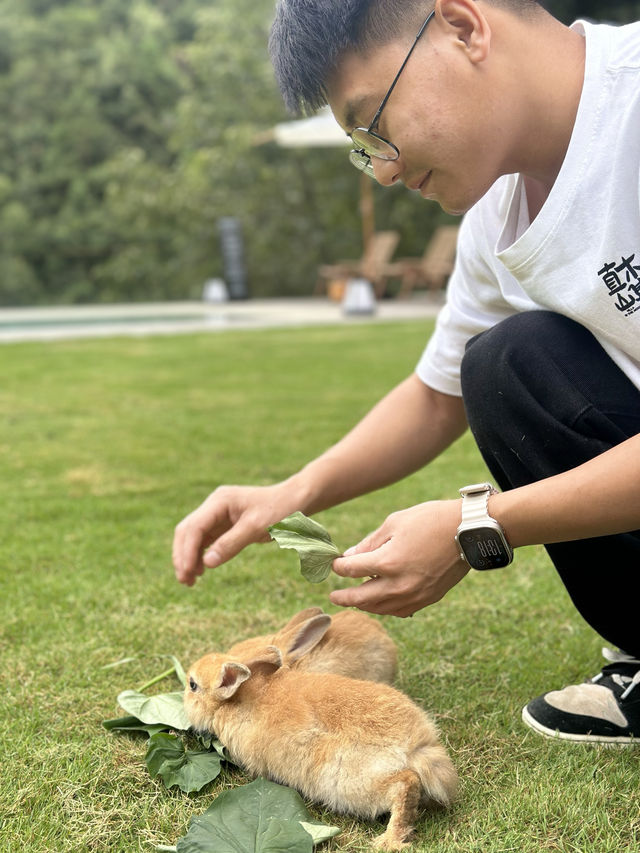 全網都在羨慕的小兔子！！