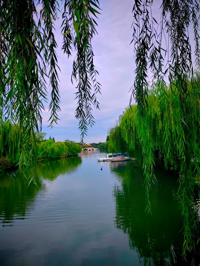 揚州國慶一日遊天花板！瘦西湖+淮揚菜+古城夜景，跟著玩準沒錯