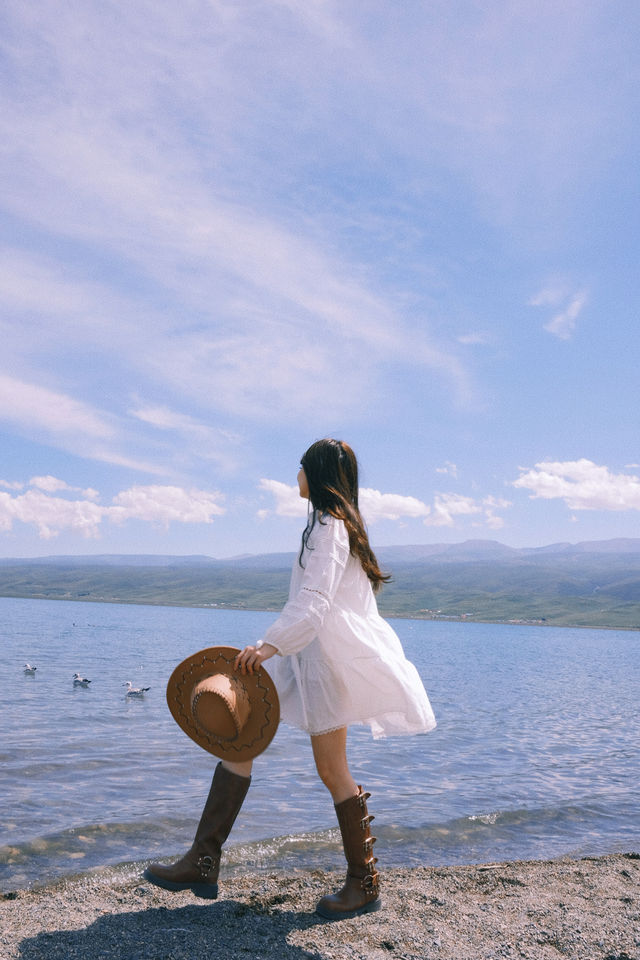 青海小環線治癒之旅｜日月山撸小羊+青海湖追天鵝