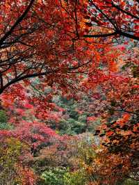石門坊賞紅葉，邂逅秋日浪漫