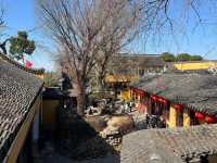古寺聽禪觀鳥｜在永慧禪寺遇見山林裡的飛羽精靈