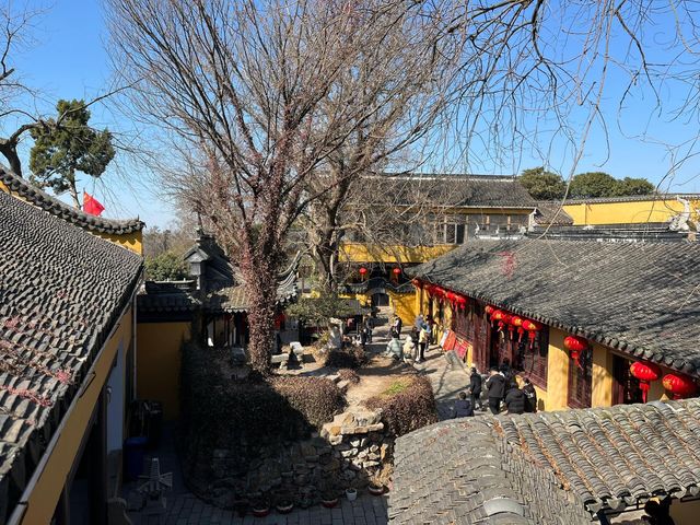 古寺聽禪觀鳥｜在永慧禪寺遇見山林裡的飛羽精靈