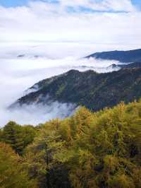 仙境太白山徒步路線
