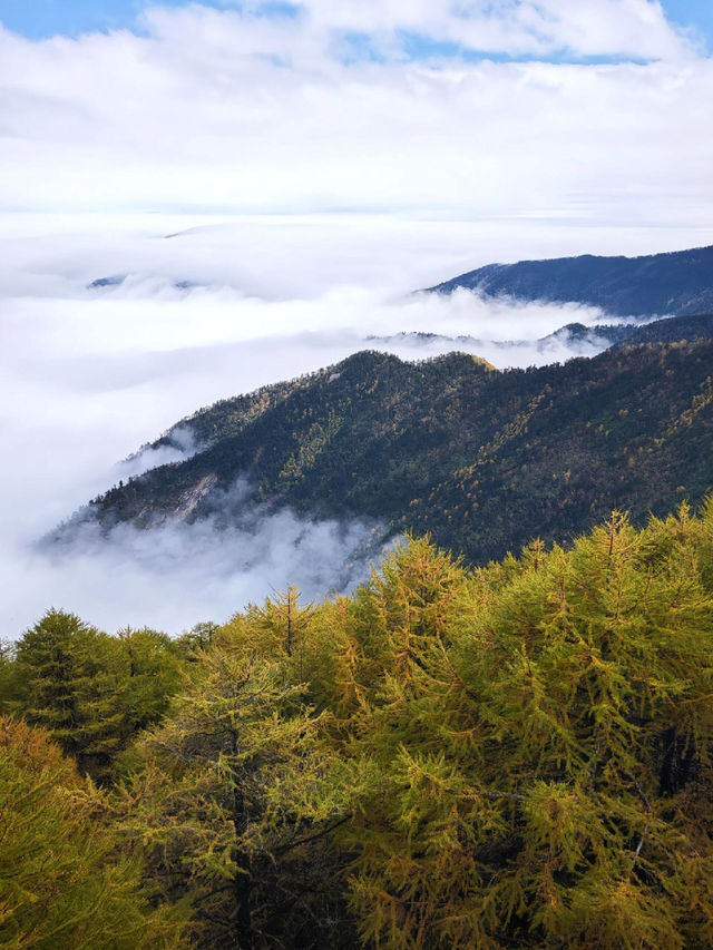 仙境太白山徒步路線