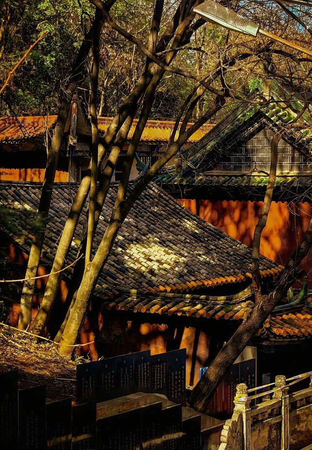 昆明周邊冷門古剎 | 8元打卡600年盤龍寺！