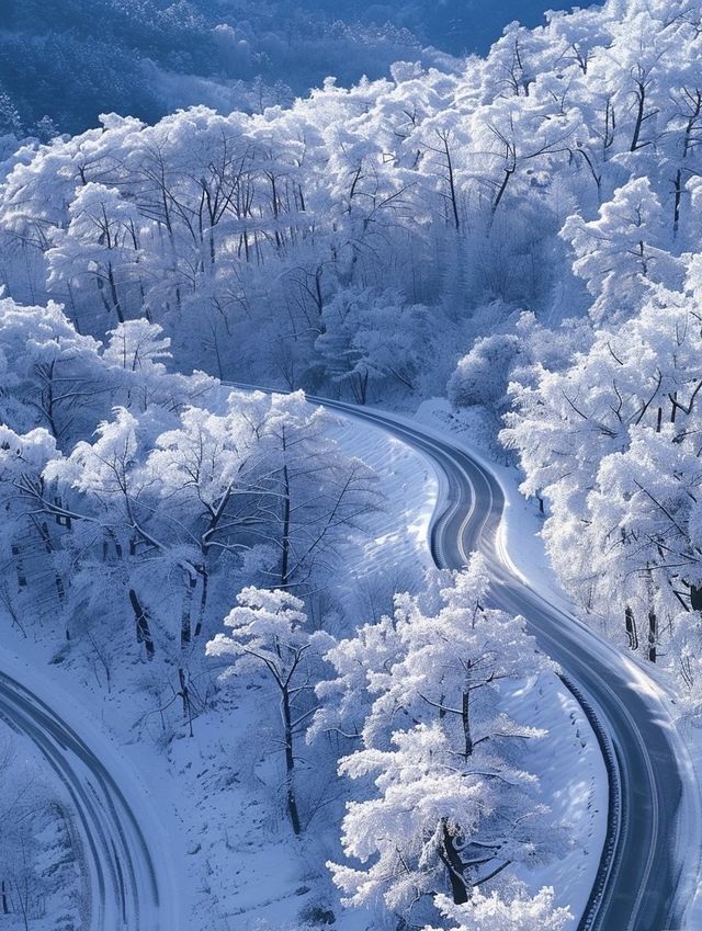 亞雪公路裹雪帶鬆如絲帶，一路風光醉人心