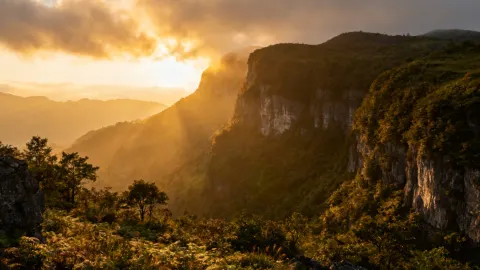 후난 바미엔산: 구름바다와 별이 빛나는 하늘을 꿈꾸는 3일 — traveler post in 천시