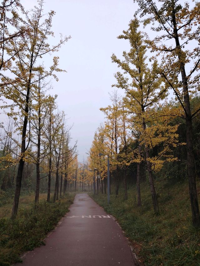西安賞楓小眾路線推薦