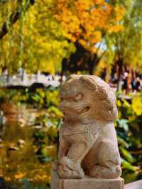 探秘北寧公園一步一景的秋日風情