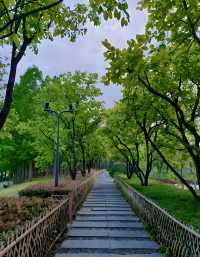 上海世博文化公園遊記