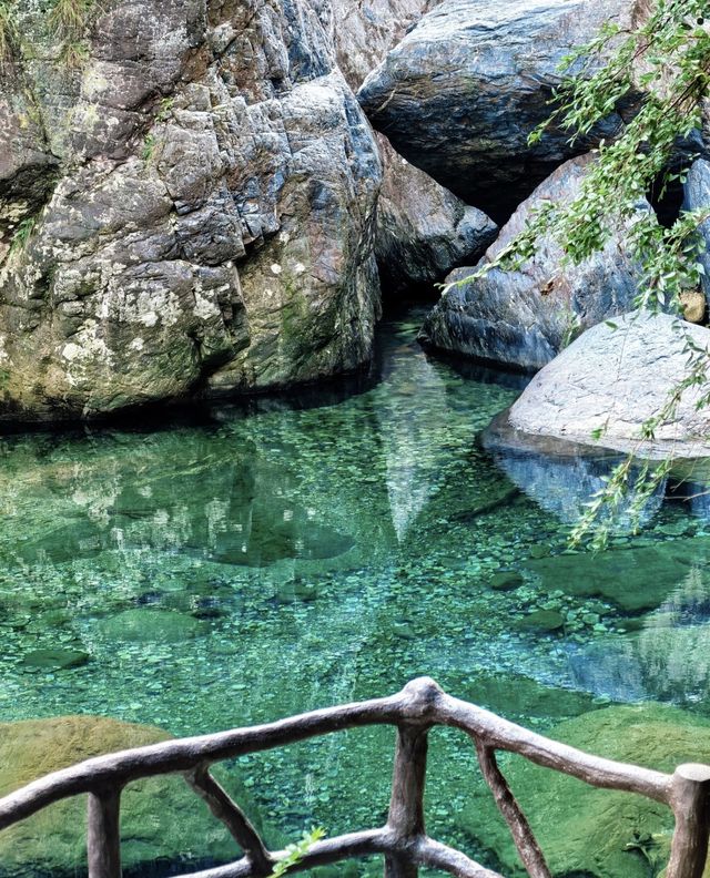 探秘華東最後一片淨土 | 闖入25°C的夏日翡翠仙境! 探秘華東最後一片淨土 | 闖入25°C的夏日翡翠仙境!