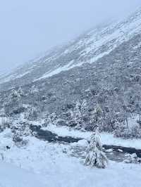 雪山之下，彩林環繞，這裡的秋天美到讓人忘詞！