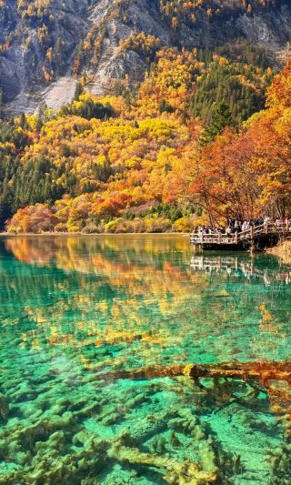 A Complete One-Day Sunshine Hiking Guide to Jiuzhaigou, the Paradise on Earth! Don't Miss It～