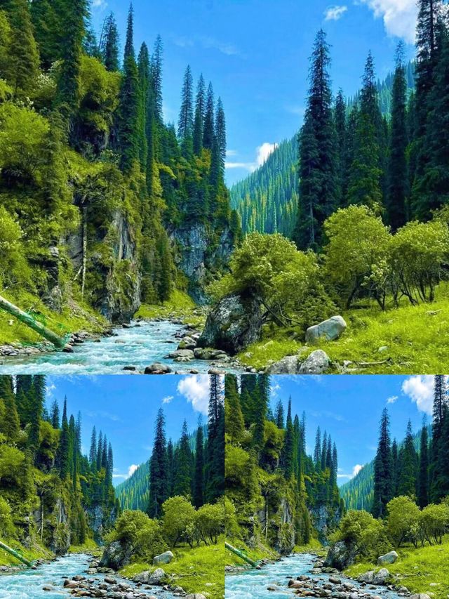 逃離城市!恰西草原「野生仙女」生存指南 逃離城市!恰西草原「野生仙女」生存指南