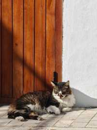 烏達雅堡：日落時分的浪漫