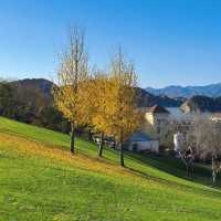  🍂 핑구 징하이호 '산에서 호수로' 당일치기 여행