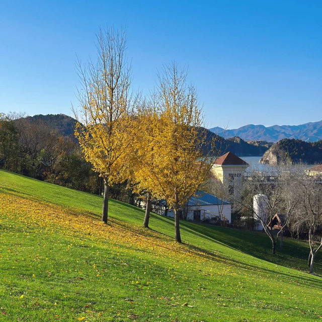  🍂 핑구 징하이호 '산에서 호수로' 당일치기 여행