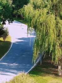 長沙小眾公園天花板磨盤洲生態公園溜娃不擠人