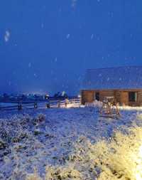 喀納斯童話木屋民宿!呢間北歐風超正