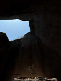 廢棄採石場變「光之書房」！仙都這處改造太絕了