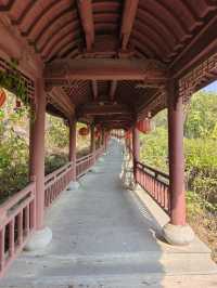 挖到一條寶藏秋遊採橘子路線！