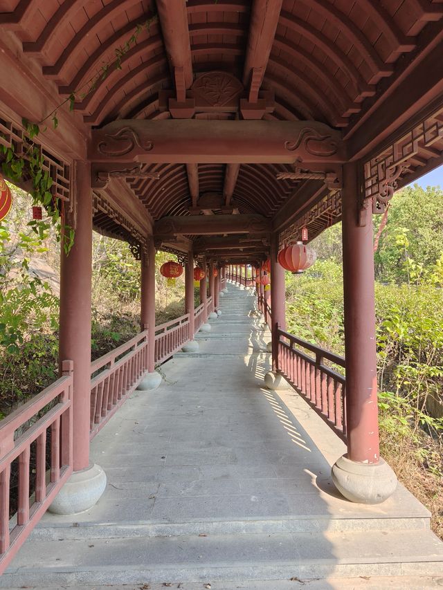 挖到一條寶藏秋遊採橘子路線！