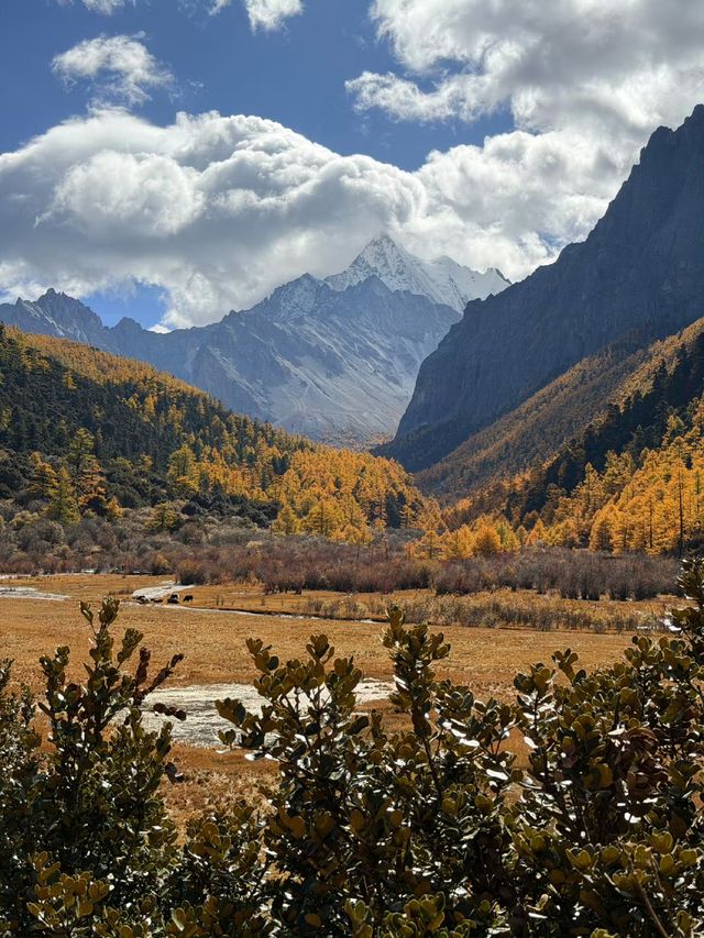 秋日亞丁絕美秘境