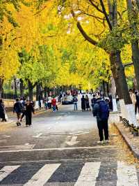 青島旅遊攻略冬天