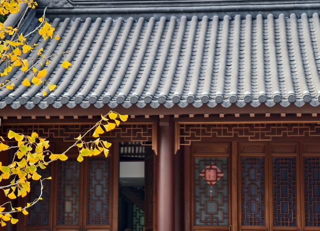 秋日必打卡！南京清涼山銀杏谷免費逛這樣玩更盡興！