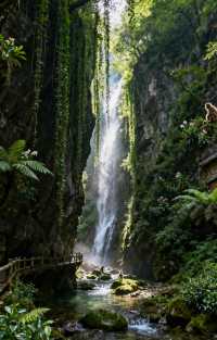 徒步金絲峽，遇見獼猴