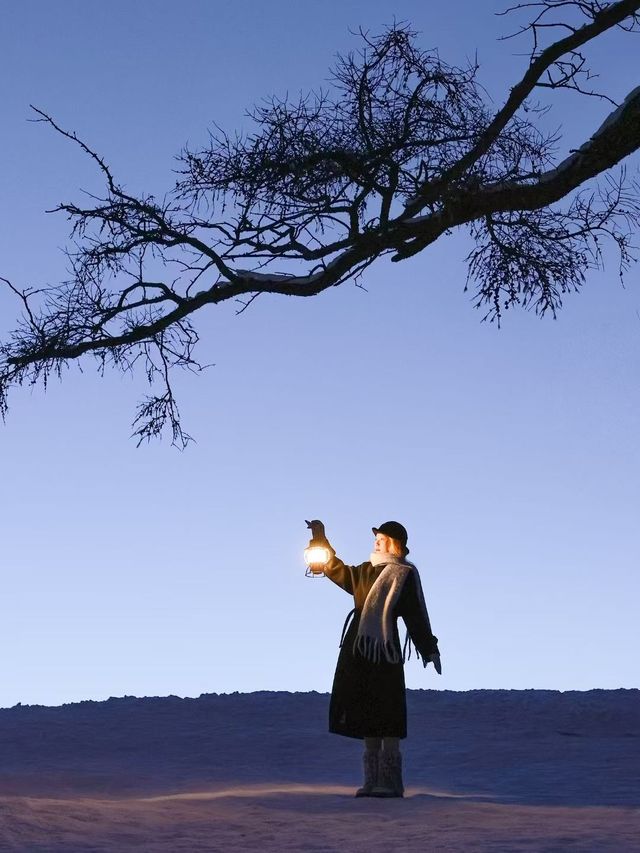 自駕新疆｜凜冬之際，與喀納斯的一場邂逅～