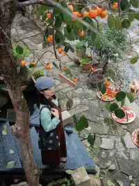 台州最美古村曬秋