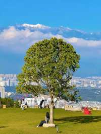 11.26實況!大理最美雪山機位被我找到啦