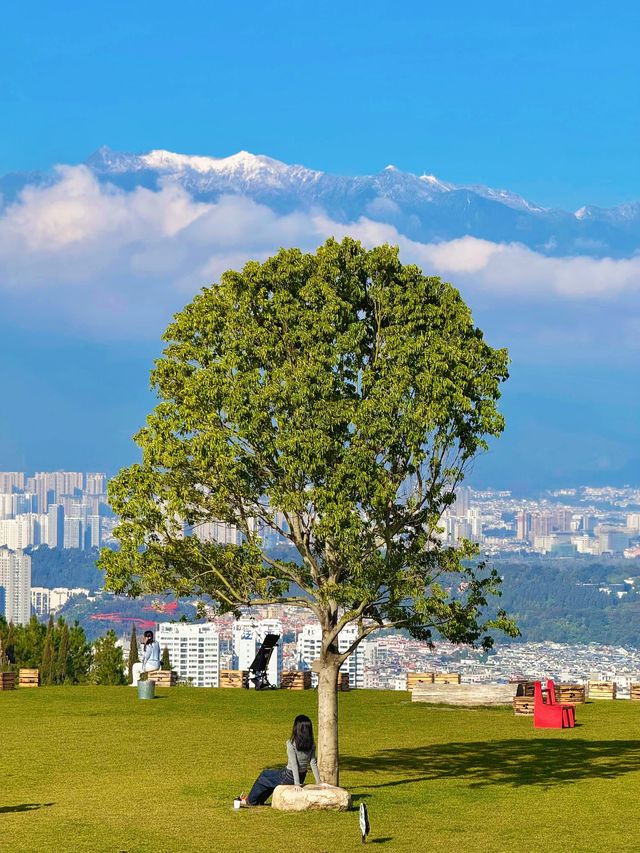 11.26實況!大理最美雪山機位被我找到啦 11.26實況!大理最美雪山機位被我找到啦