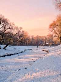 帶娃勇闖冰城!哈爾濱遛娃攻略分享~