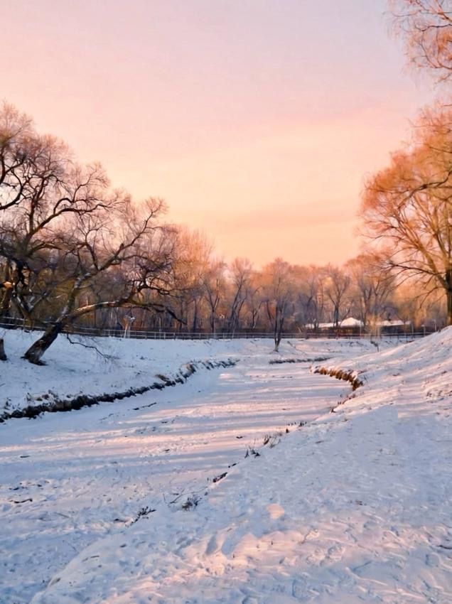 帶娃勇闖冰城!哈爾濱遛娃攻略分享~ 帶娃勇闖冰城!哈爾濱遛娃攻略分享~