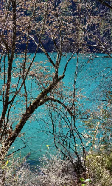 구채구에 가본 사람은 다 알죠 이 전신 사진의 가치