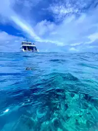 澳洲神仙路線玩轉南半球