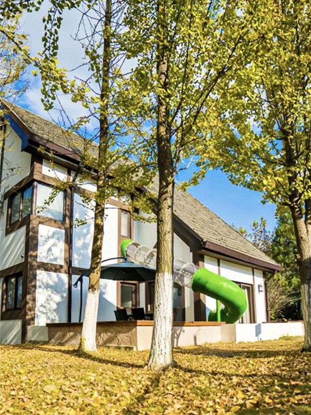 森野溫泉度假指南 森野溫泉度假指南