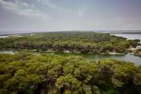 穿行阿爾布費拉自然公園，遇見自然本真